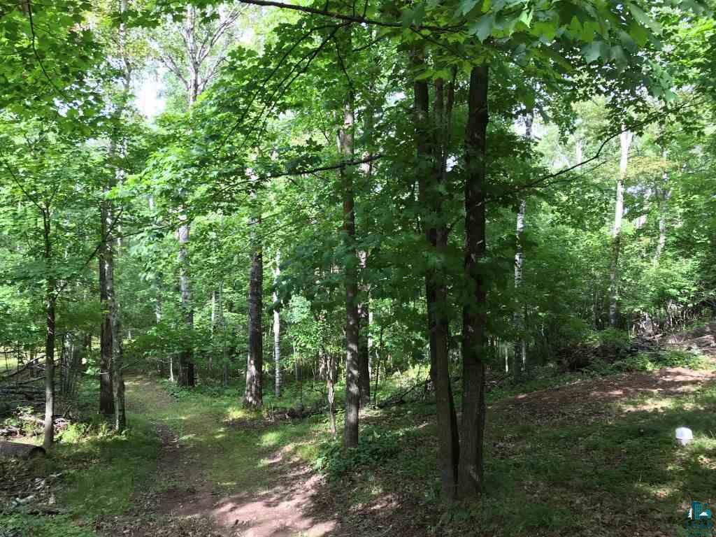 6307 Industrial Road Saginaw, MN 55779 - Photo 20 of 20 Trails on property