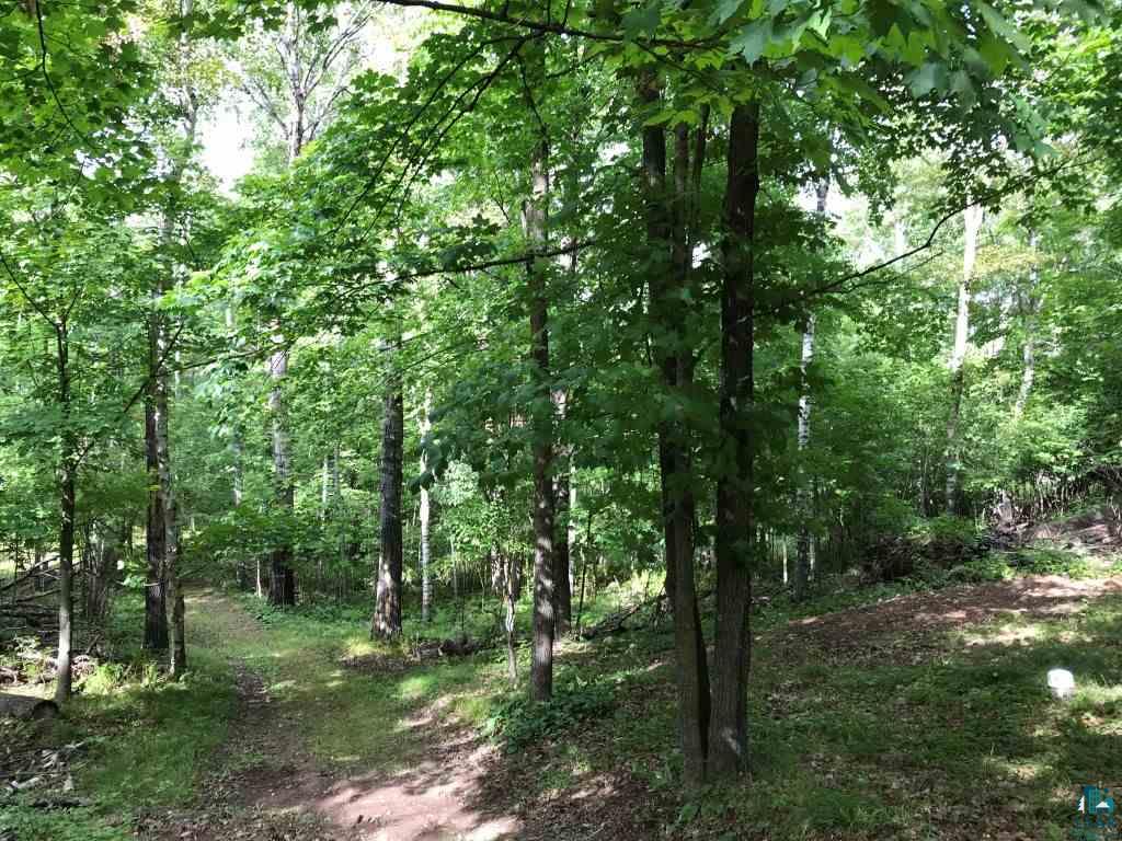 6307 Industrial Road Saginaw, MN 55779 - Photo 7 of 20 Mature hardwoods