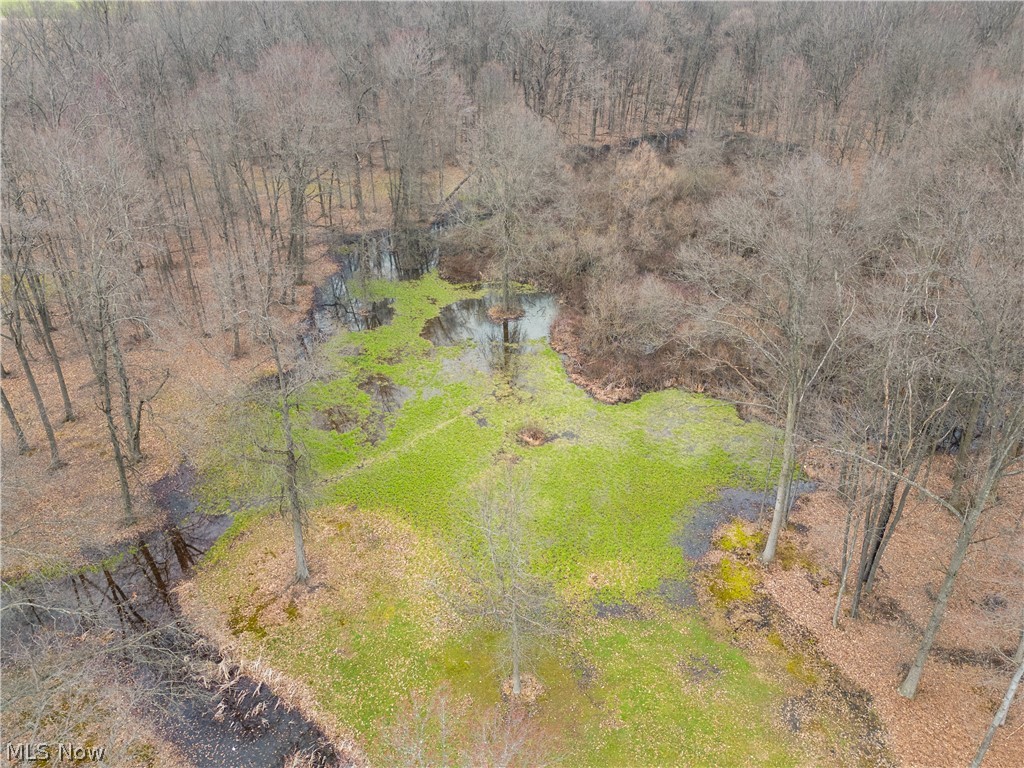 6401 Moff Road Atwater, OH 44201 - Photo 9 of 48
