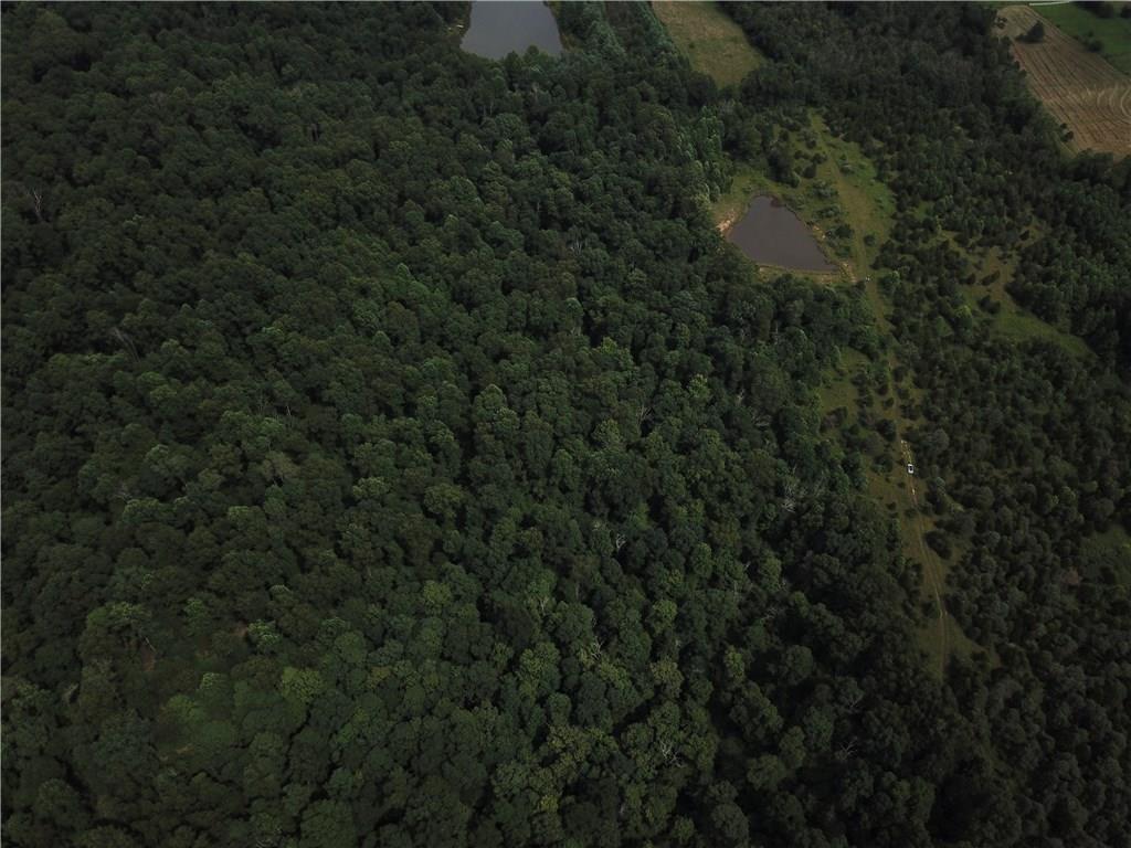 106 Ogle Road Freetown, IN 47235 - Photo 18 of 29