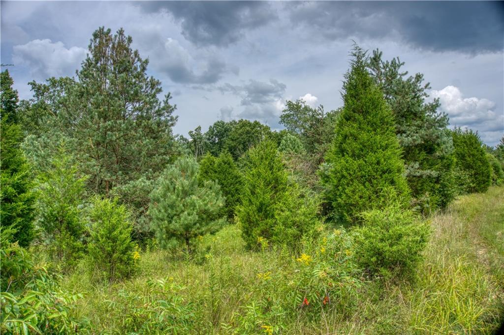 106 Ogle Road Freetown, IN 47235 - Photo 8 of 29