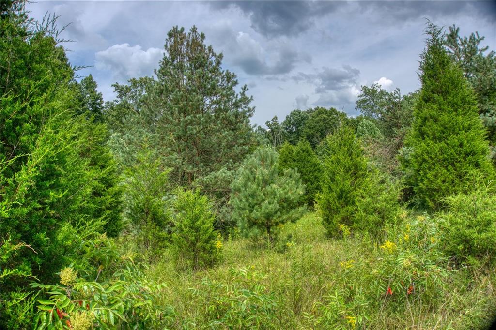 106 Ogle Road Freetown, IN 47235 - Photo 9 of 29
