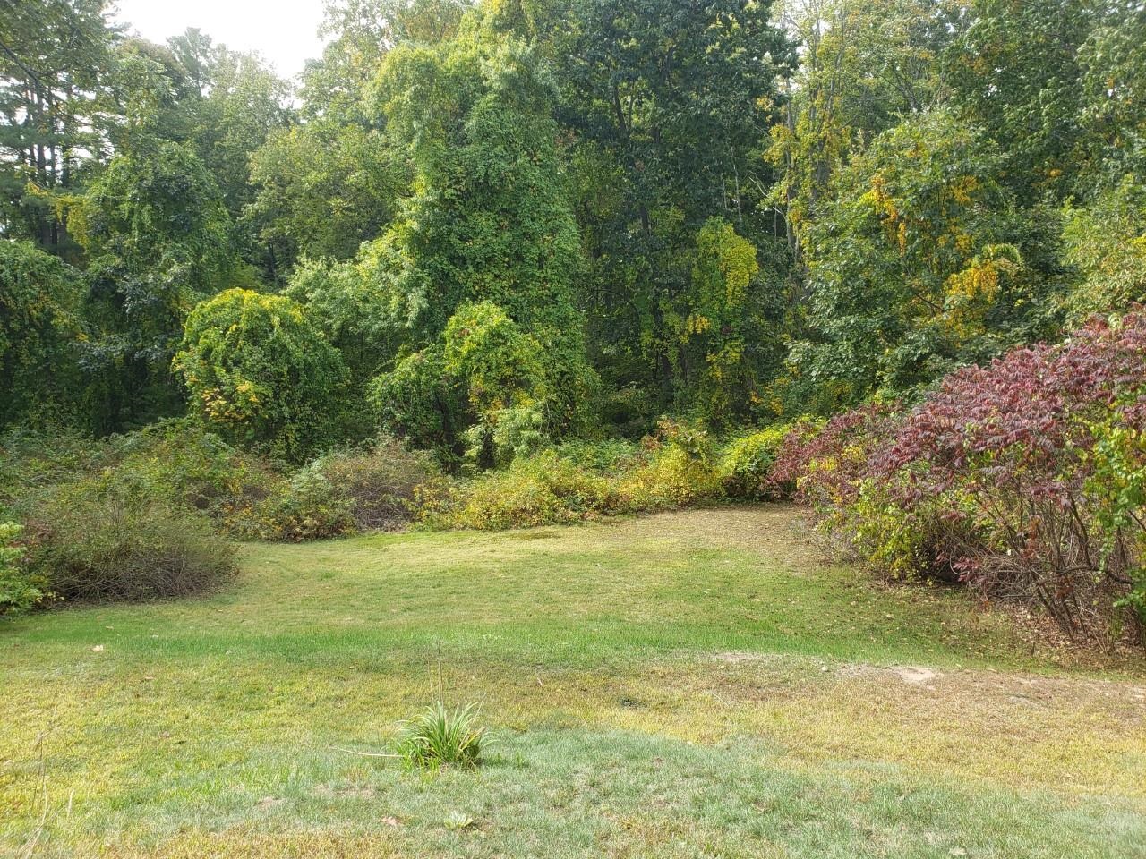 24 Jefferson Street Derry, NH 03038 - Photo 6 of 9