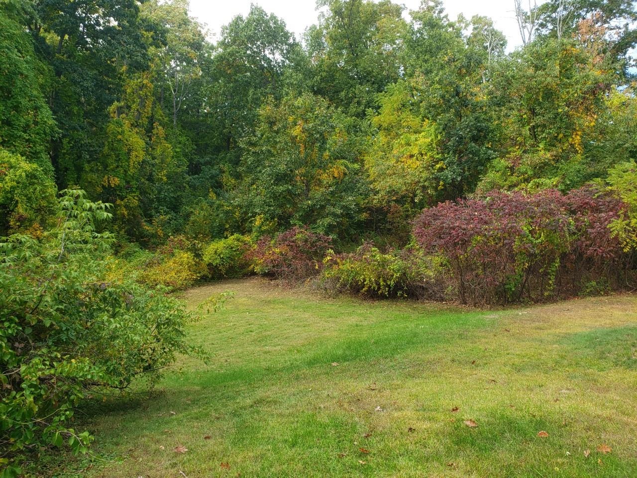 24 Jefferson Street Derry, NH 03038 - Photo 7 of 9