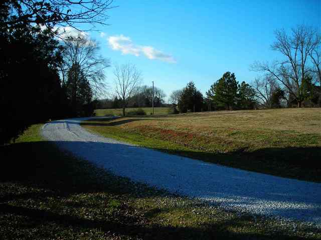 326 Freeman Road Liberty, SC 29657 - Photo 5 of 15
