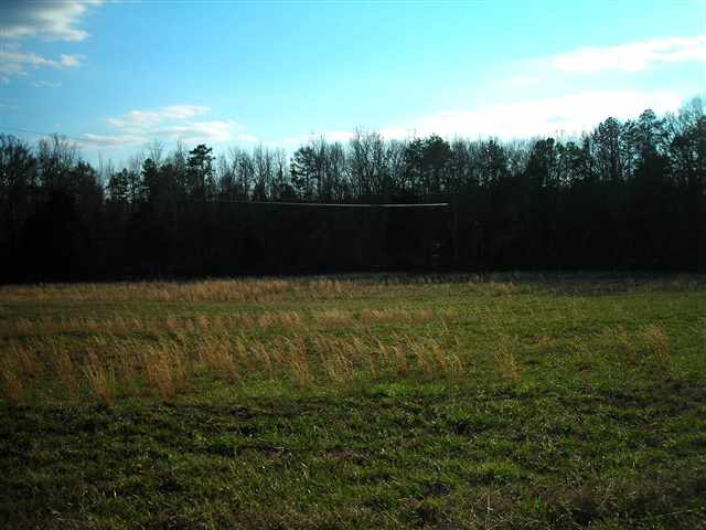 326 Freeman Road Liberty, SC 29657 - Photo 6 of 15