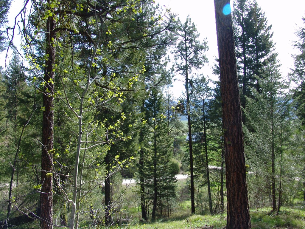 21 Rehn Loop, Unit 4 Cascade, ID 83611 - Photo 6 of 13 Nice Sloping Ridge to Build Your Dream Home or Cab