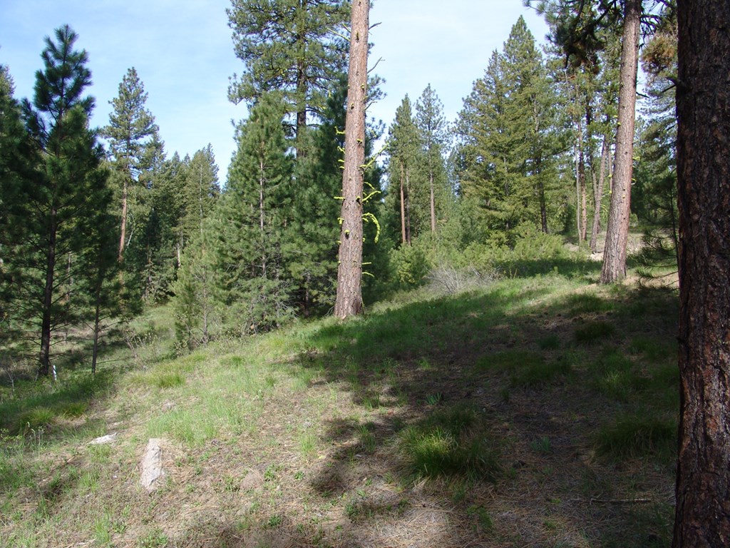 21 Rehn Loop, Unit 4 Cascade, ID 83611 - Photo 7 of 13 Sloped & Wooded Terrain