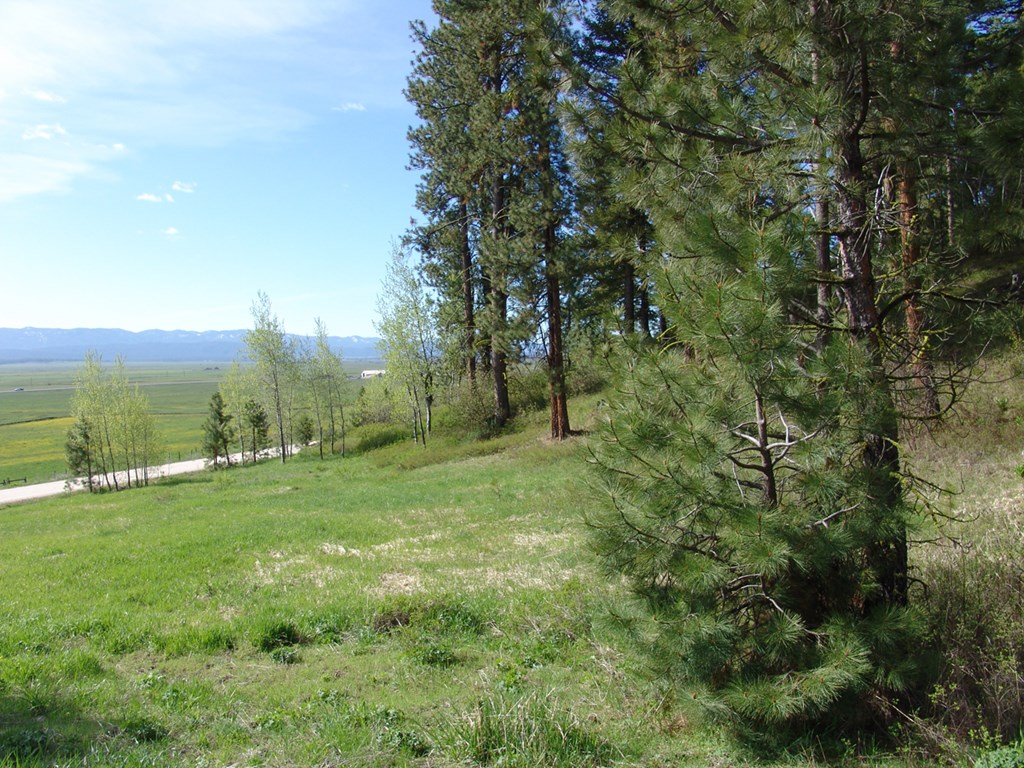 21 Rehn Loop, Unit 4 Cascade, ID 83611 - Photo 10 of 13 Just North of Cascade