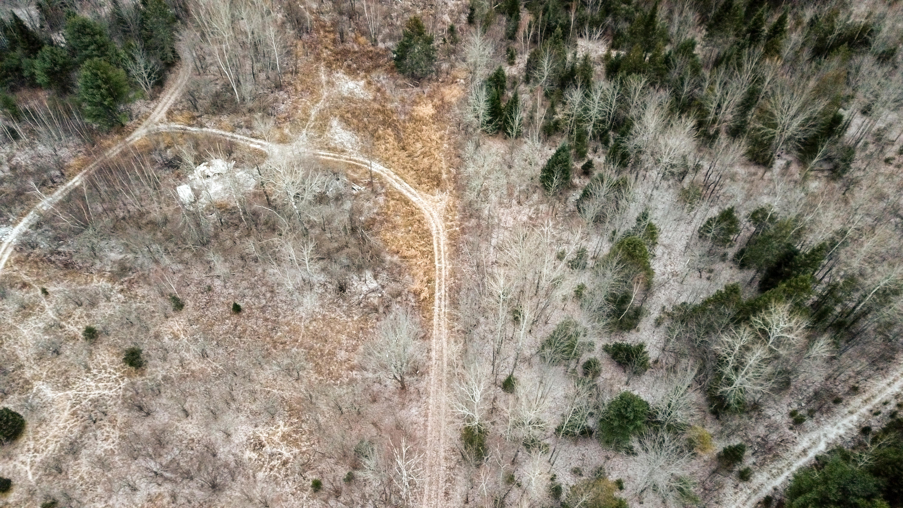 Lot 4-5 Lawler Ridge Road Benedicta, ME 04733 - Photo 6 of 21 Edited-5-