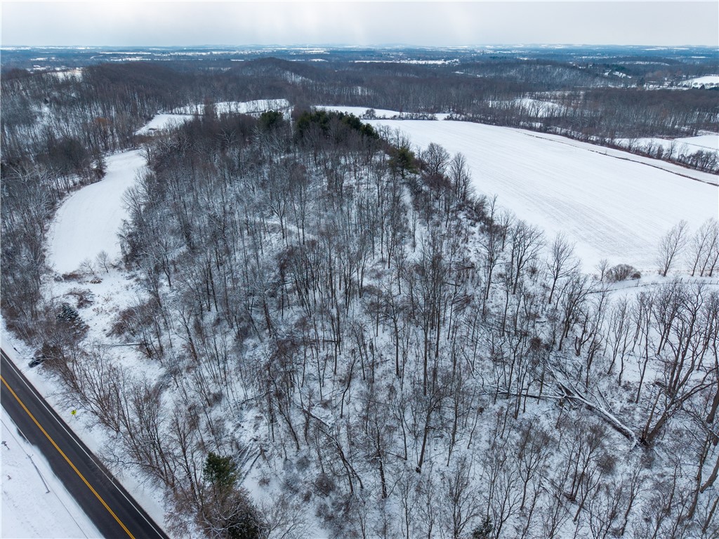 Sheldon Road Palmyra, NY 14522 - Photo 11 of 21