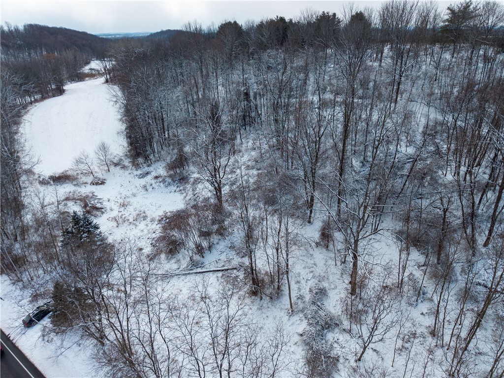 Sheldon Road Palmyra, NY 14522 - Photo 16 of 21