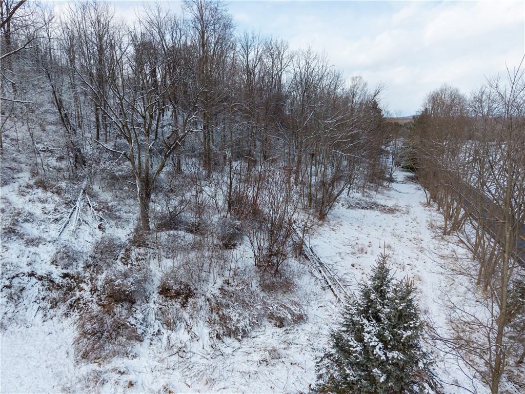 Sheldon Road Palmyra, NY 14522 - Photo 19 of 21