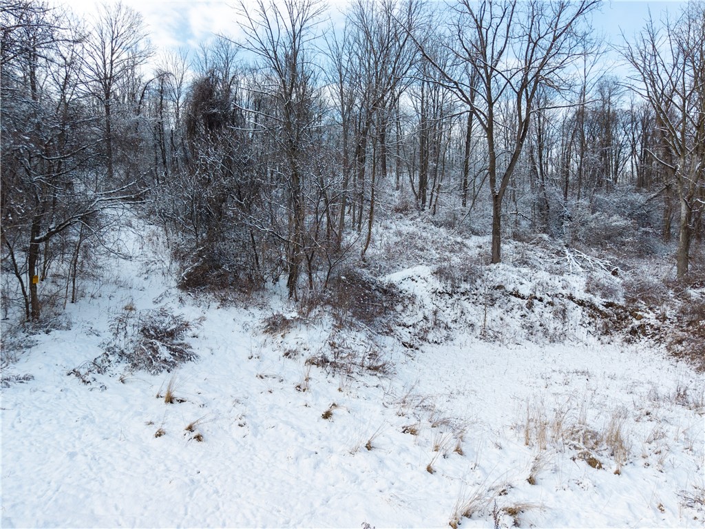 Sheldon Road Palmyra, NY 14522 - Photo 20 of 21