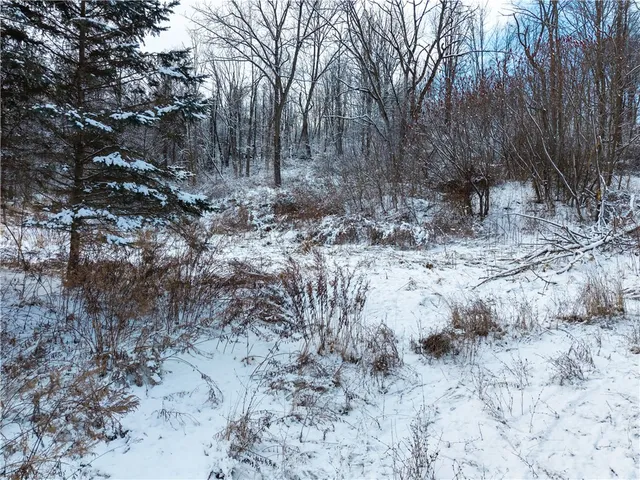 $75,000 | Sheldon Road, Palmyra, NY 14522