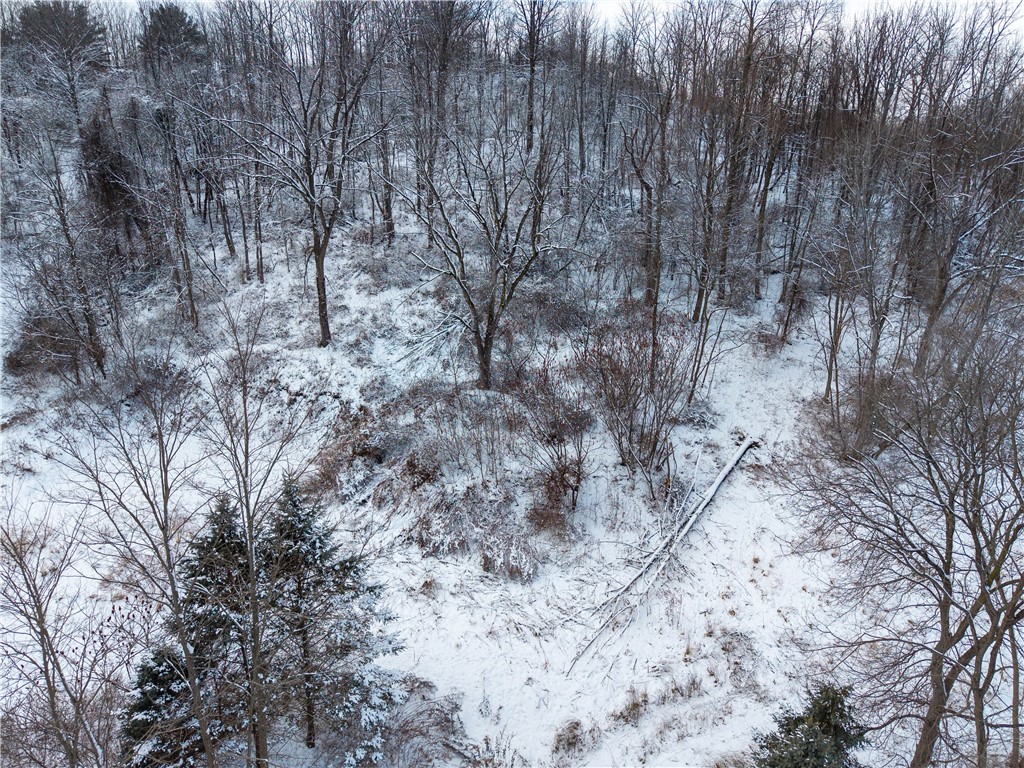 Sheldon Road Palmyra, NY 14522 - Photo 3 of 21