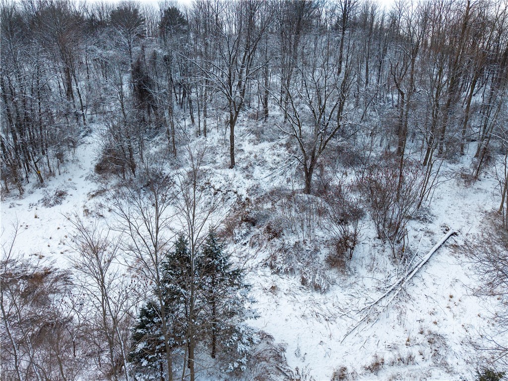 Sheldon Road Palmyra, NY 14522 - Photo 4 of 21