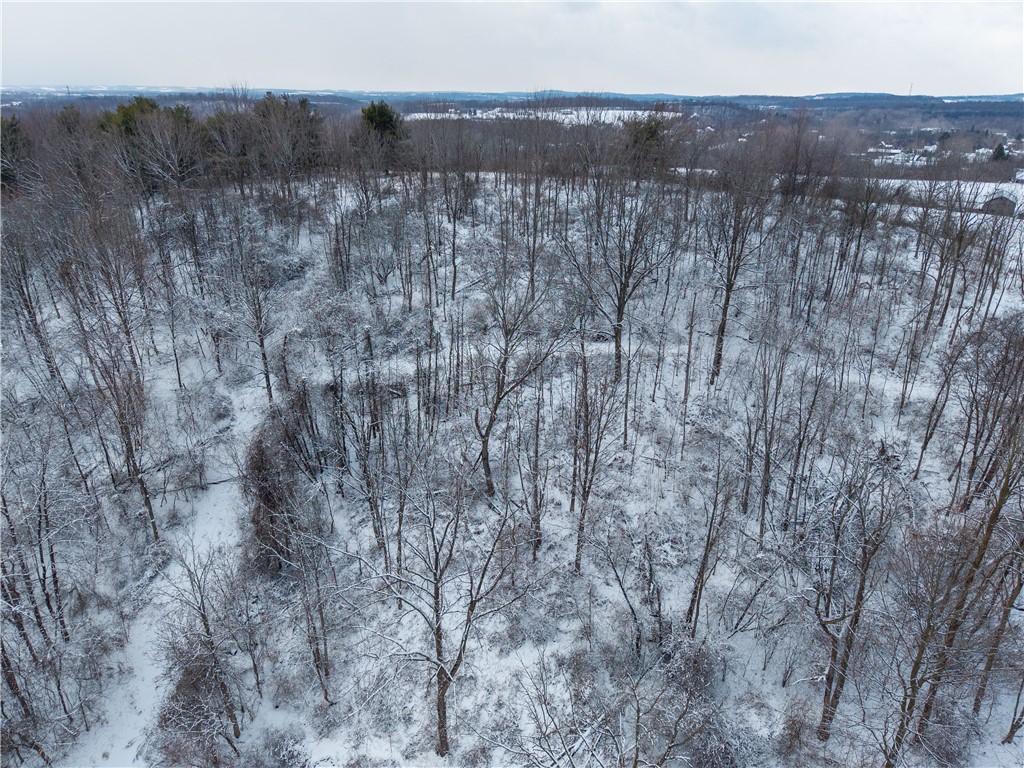 Sheldon Road Palmyra, NY 14522 - Photo 6 of 21