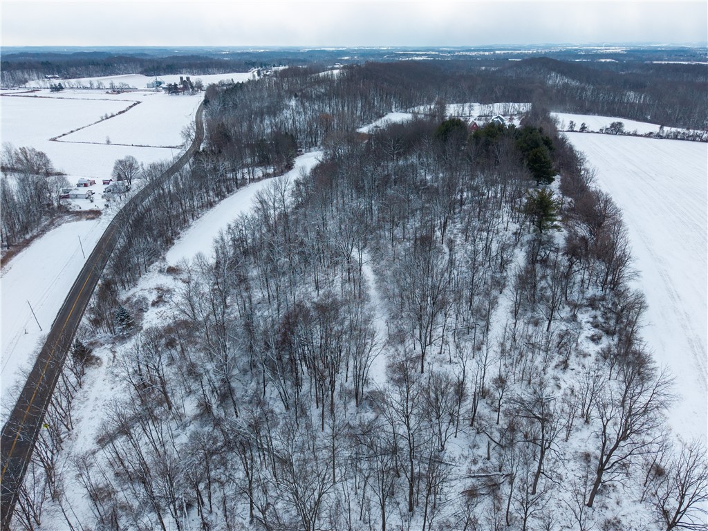 Sheldon Road Palmyra, NY 14522 - Photo 10 of 21