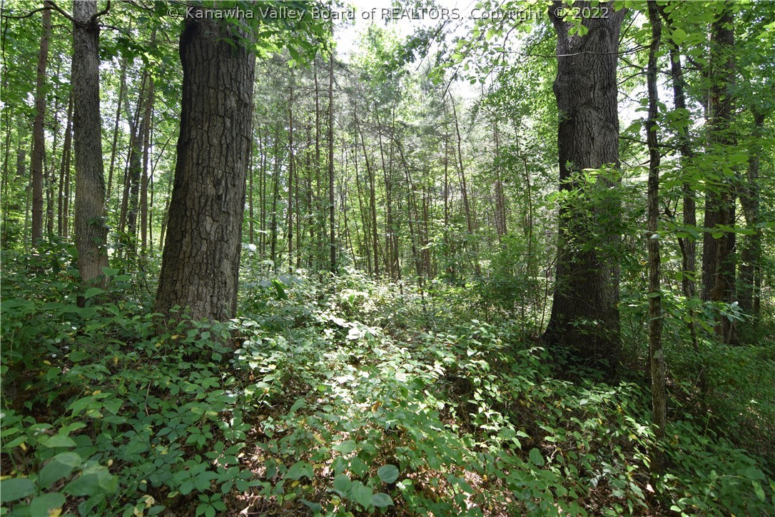1550 Watts Chapel Road Kenna, WV 25248 - Photo 6 of 6 Gallery Image 6