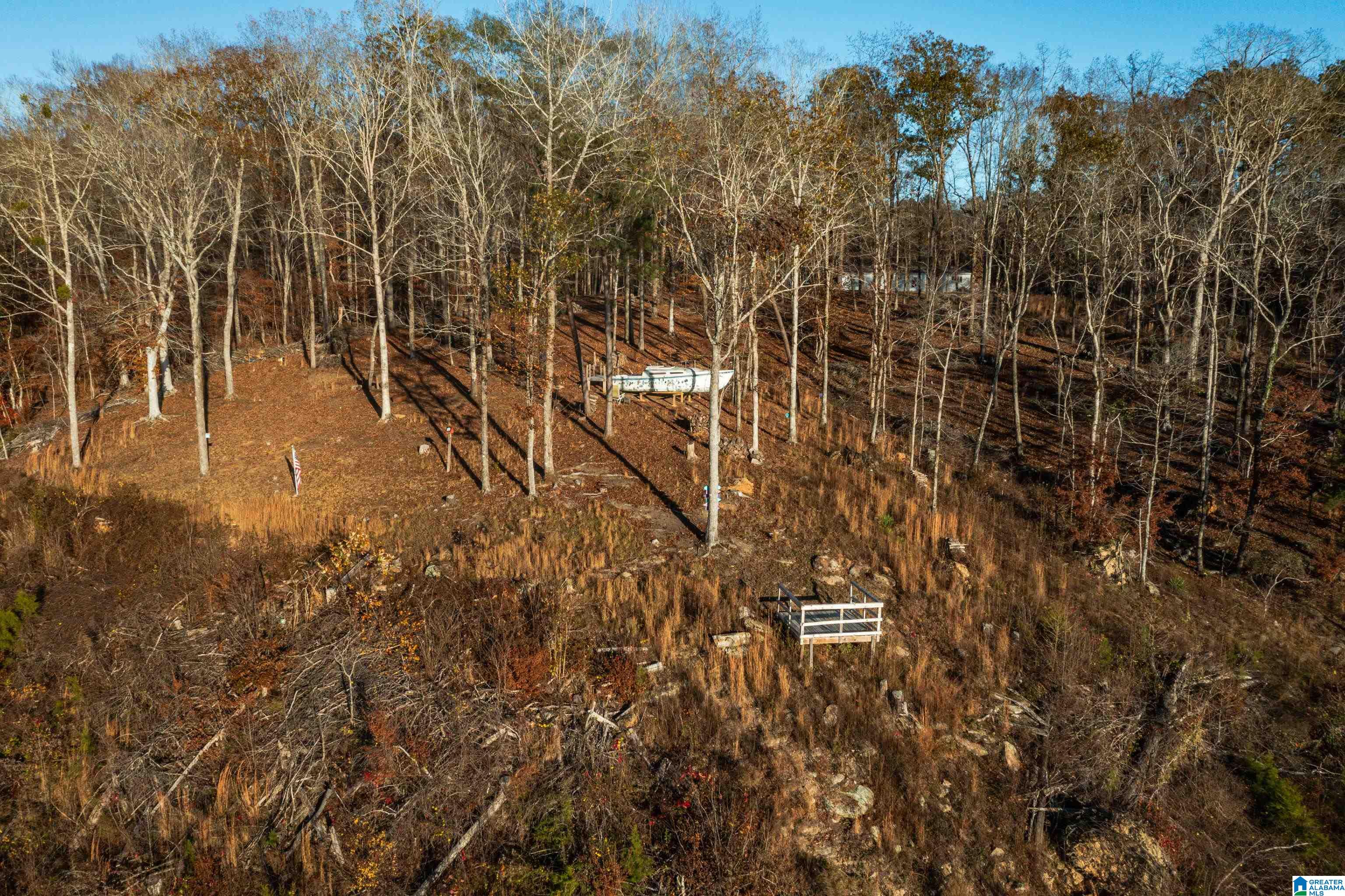 191 Warrior River Highlands Road Adger, AL 35006 - Photo 78 of 81