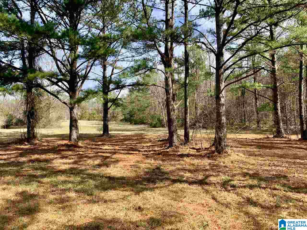 0 County Road 16 Calera, AL 35040 - Photo 14 of 22