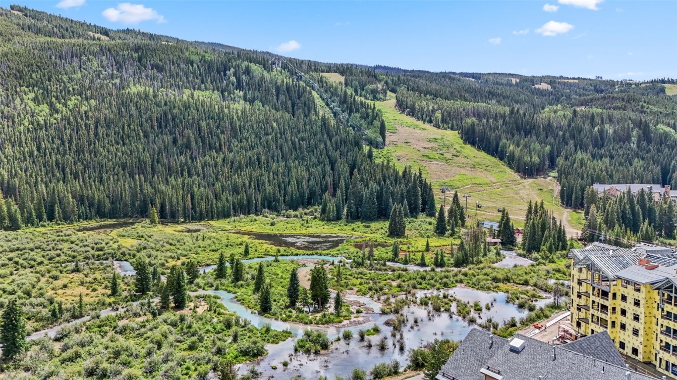 231 Hawk Circle, Unit 2324 Keystone, CO 80435 - Photo 46 of 48 a view of backyard with green space