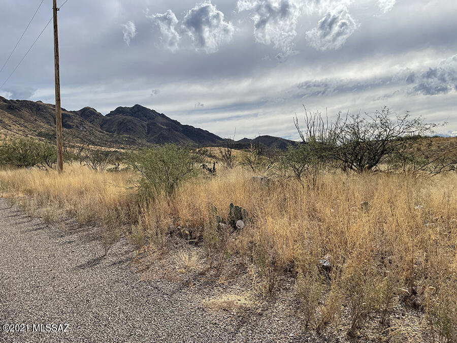 353 Dock Street, Unit 88 Rio Rico, AZ 85648 - Photo 5 of 6