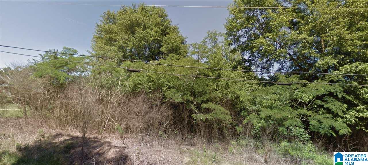 7736 Bagley Road Dora, AL 35062 - Photo 2 of 2