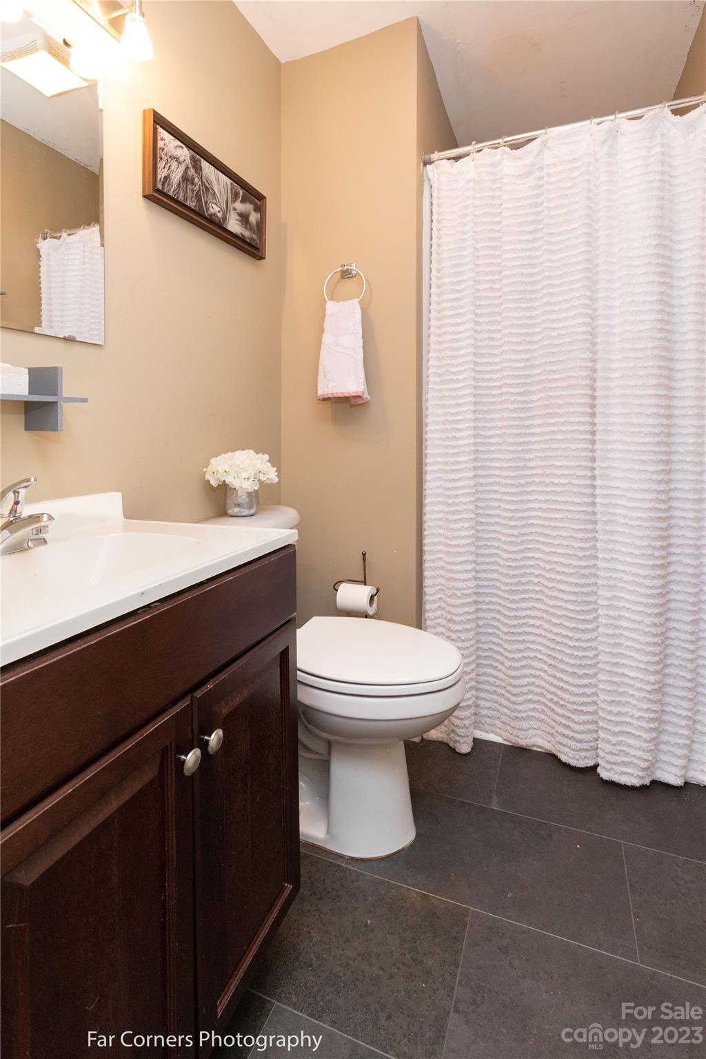 1335 Upper Brush Creek Road Fairview, NC 28730 - Photo 12 of 24 a bathroom with a sink a toilet and shower curtain