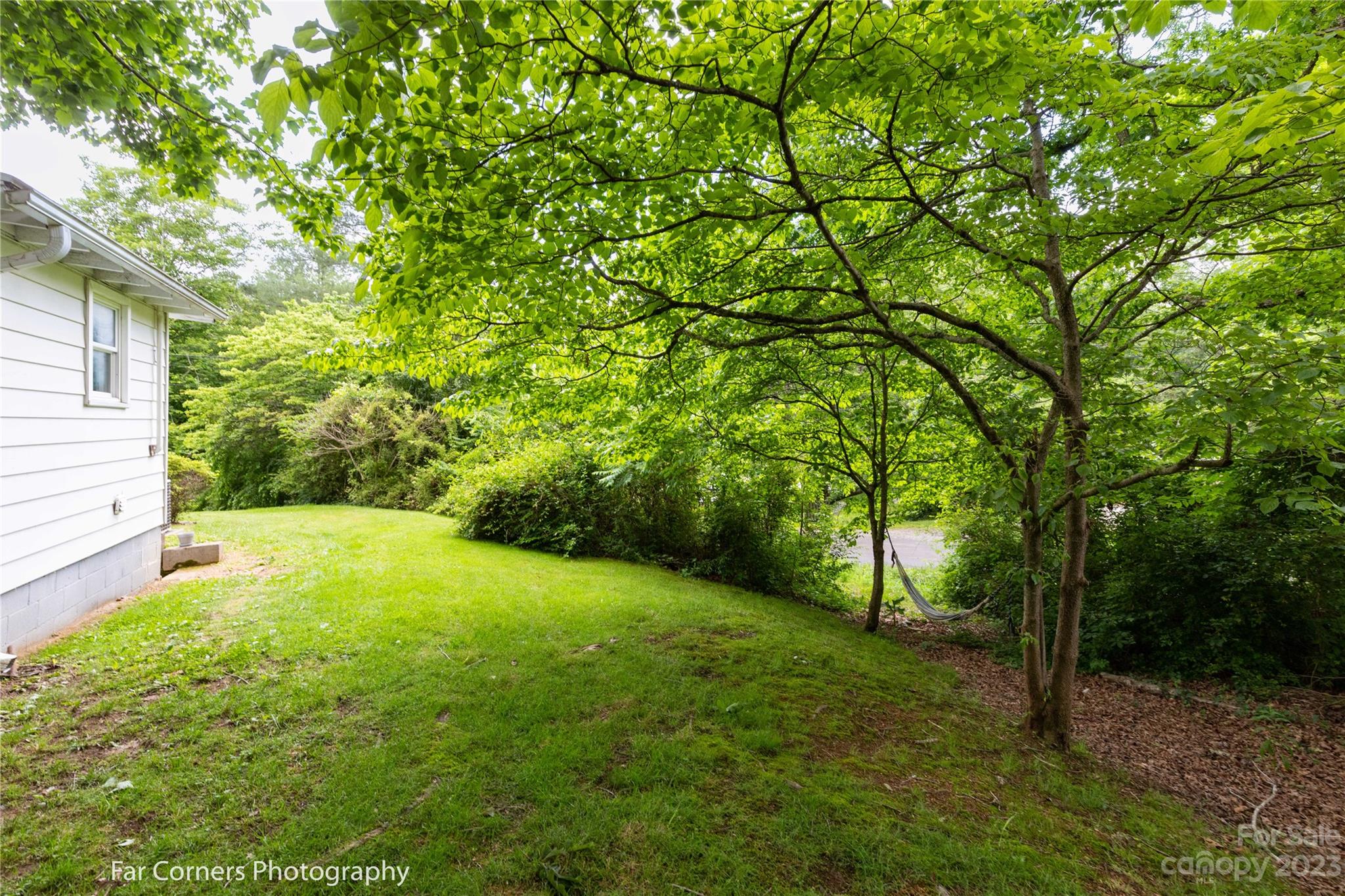 1335 Upper Brush Creek Road Fairview, NC 28730 - Photo 5 of 24 a view of a yard with a tree