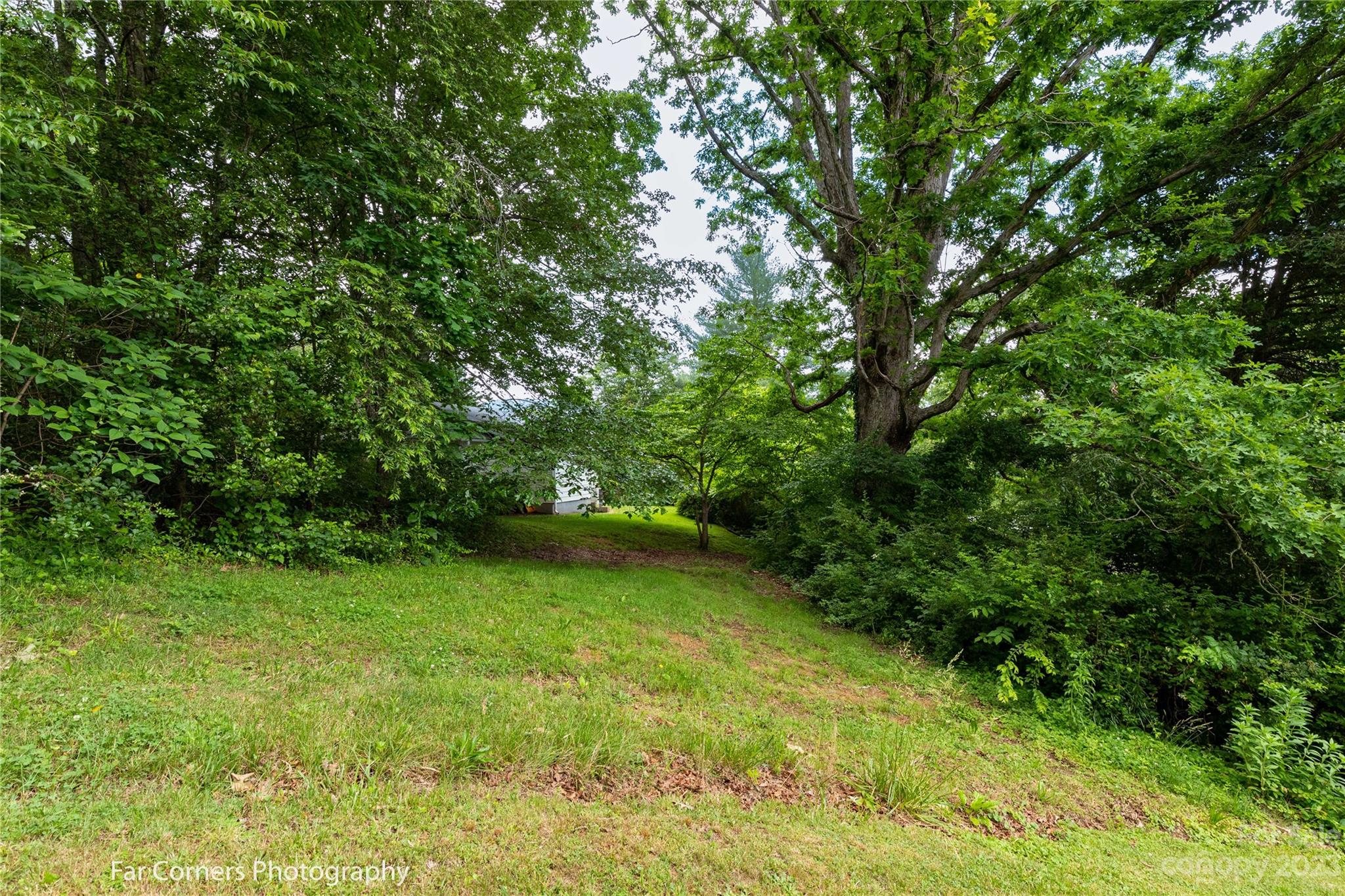 1335 Upper Brush Creek Road Fairview, NC 28730 - Photo 7 of 24 a view of a yard with a trees