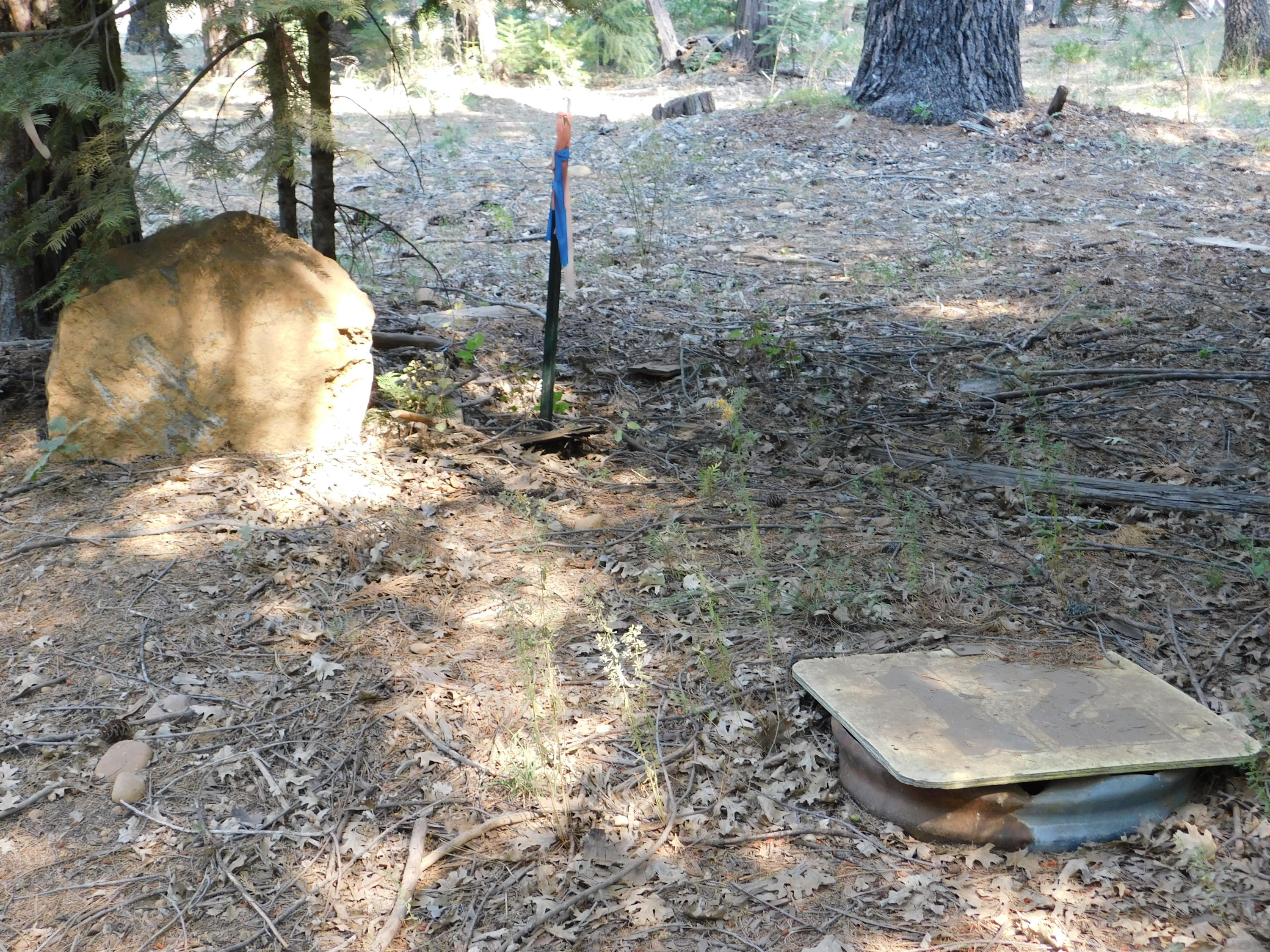Lot # Deer Flat Road Shingletown, CA 96088 - Photo 6 of 8 DSCN0519