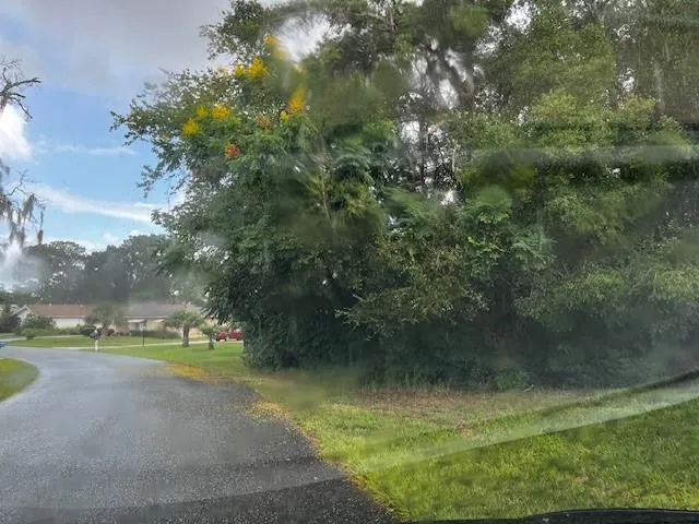 a view of a golf course with a lake