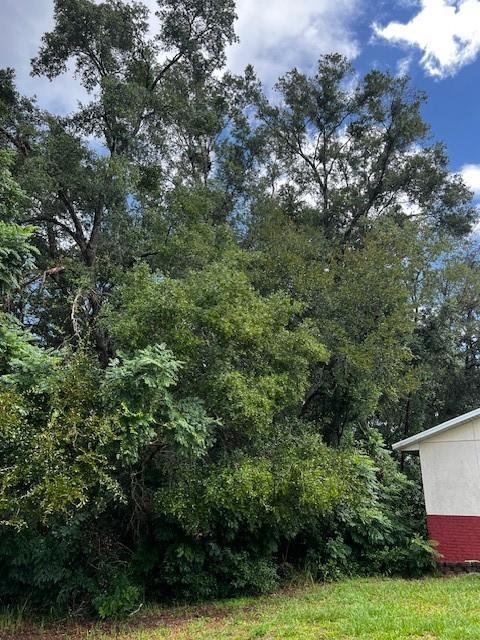0 Silver Course Loop Ocala, FL 34472 - Photo 3 of 6 an aerial view of a house with yard