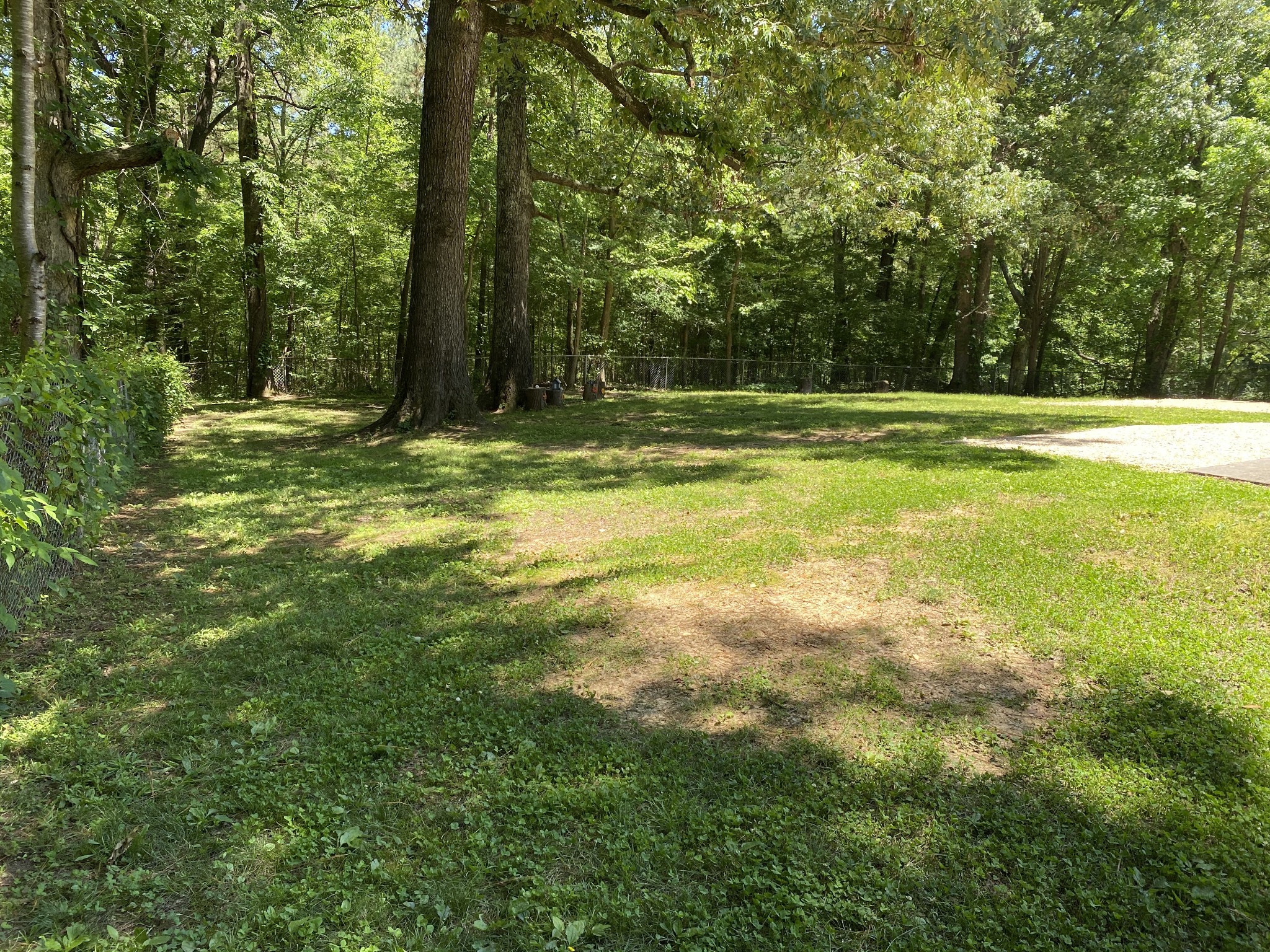 816 Post Oak Road Camden, TN 38320 - Photo 19 of 23 Gallery Image 19