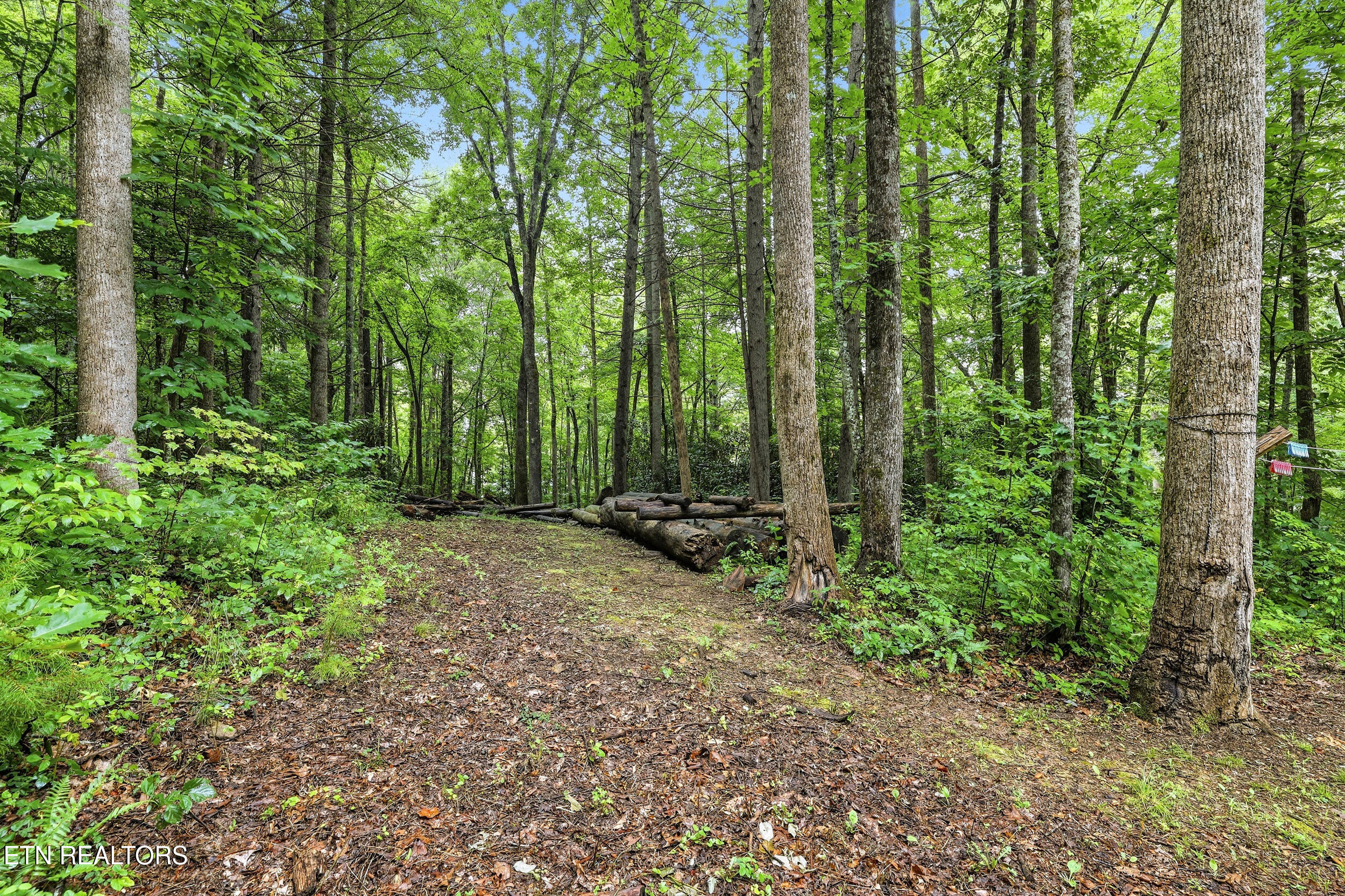 1007 Old Cades Cove Road Townsend, TN 37882 - Photo 37 of 42 024