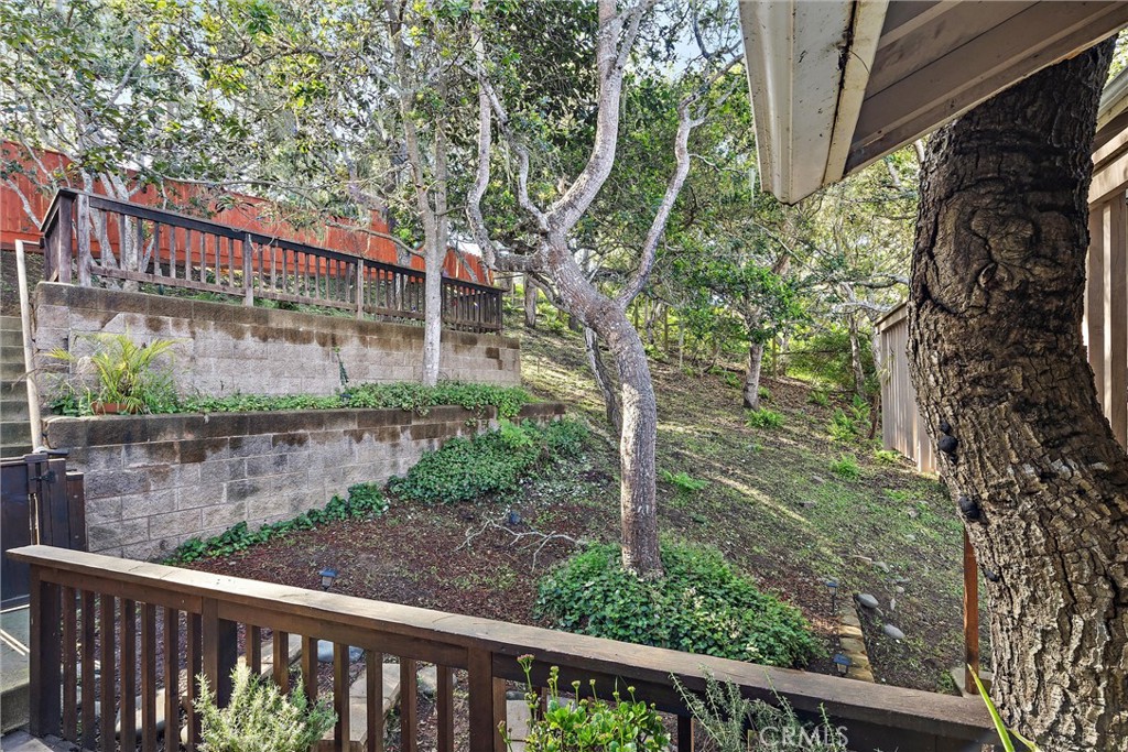 1361 Haddon Drive Cambria, CA 93428 - Photo 23 of 23 a view of a yard with a tree in the background