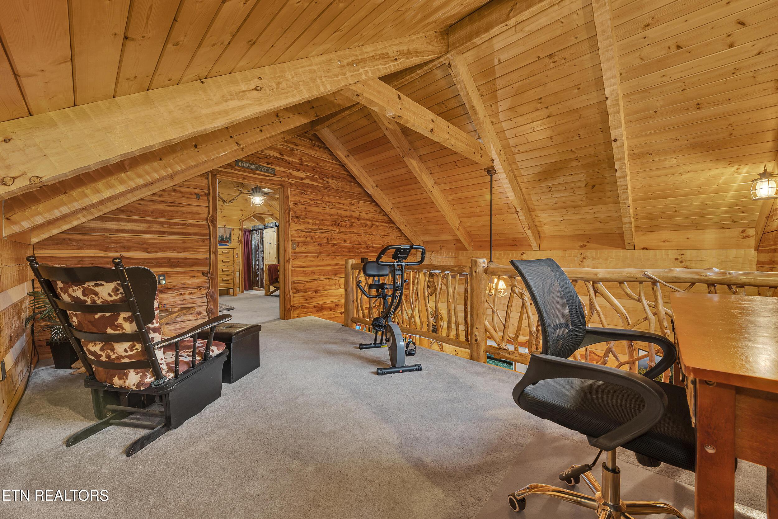 221 Caney Creek Road Cosby, TN 37722 - Photo 24 of 49 18_35