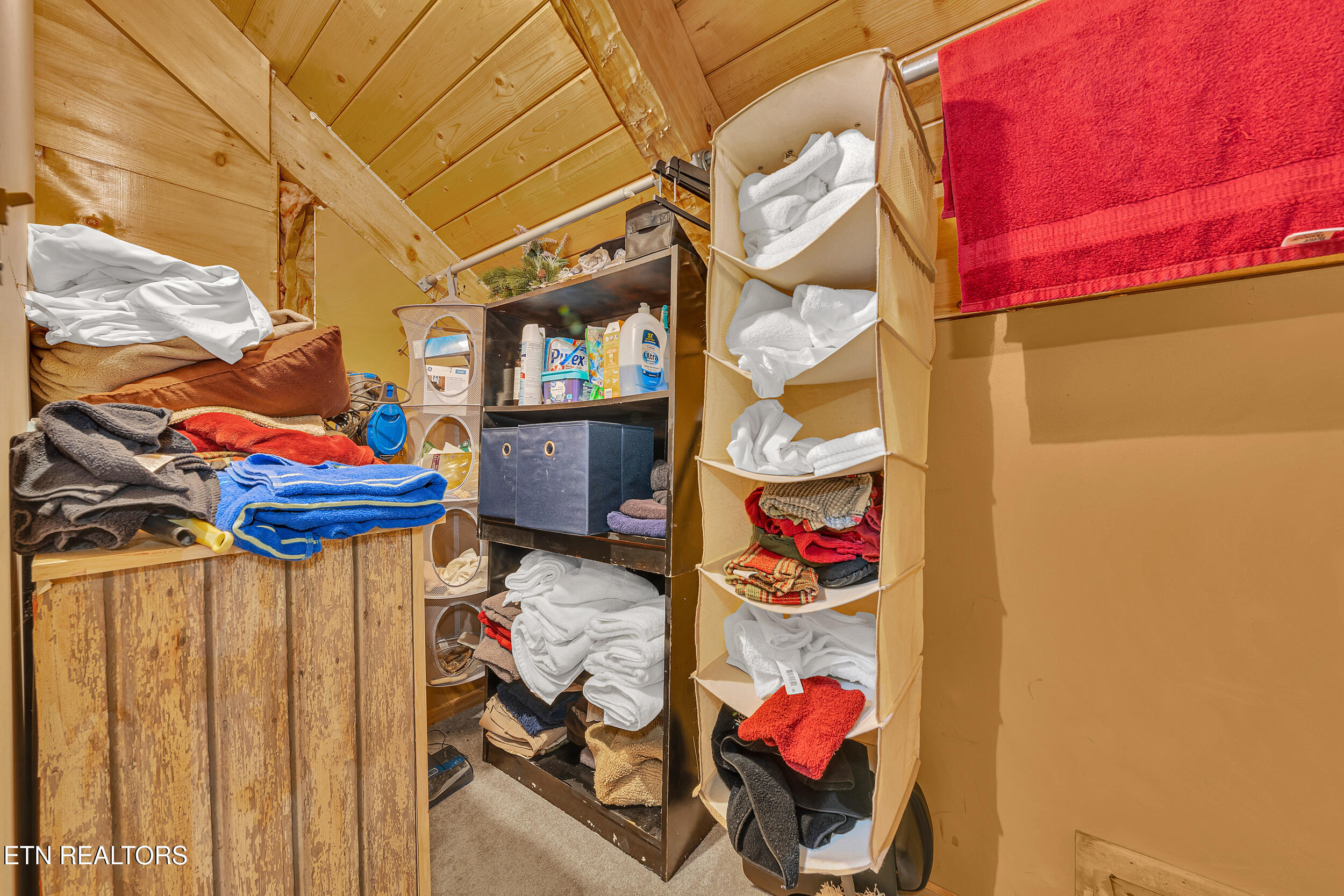 221 Caney Creek Road Cosby, TN 37722 - Photo 31 of 49 25_42