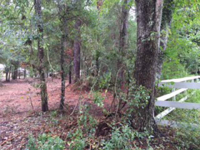 0 Geno Road Gulf Shores, AL 36542 - Photo 1 of 1