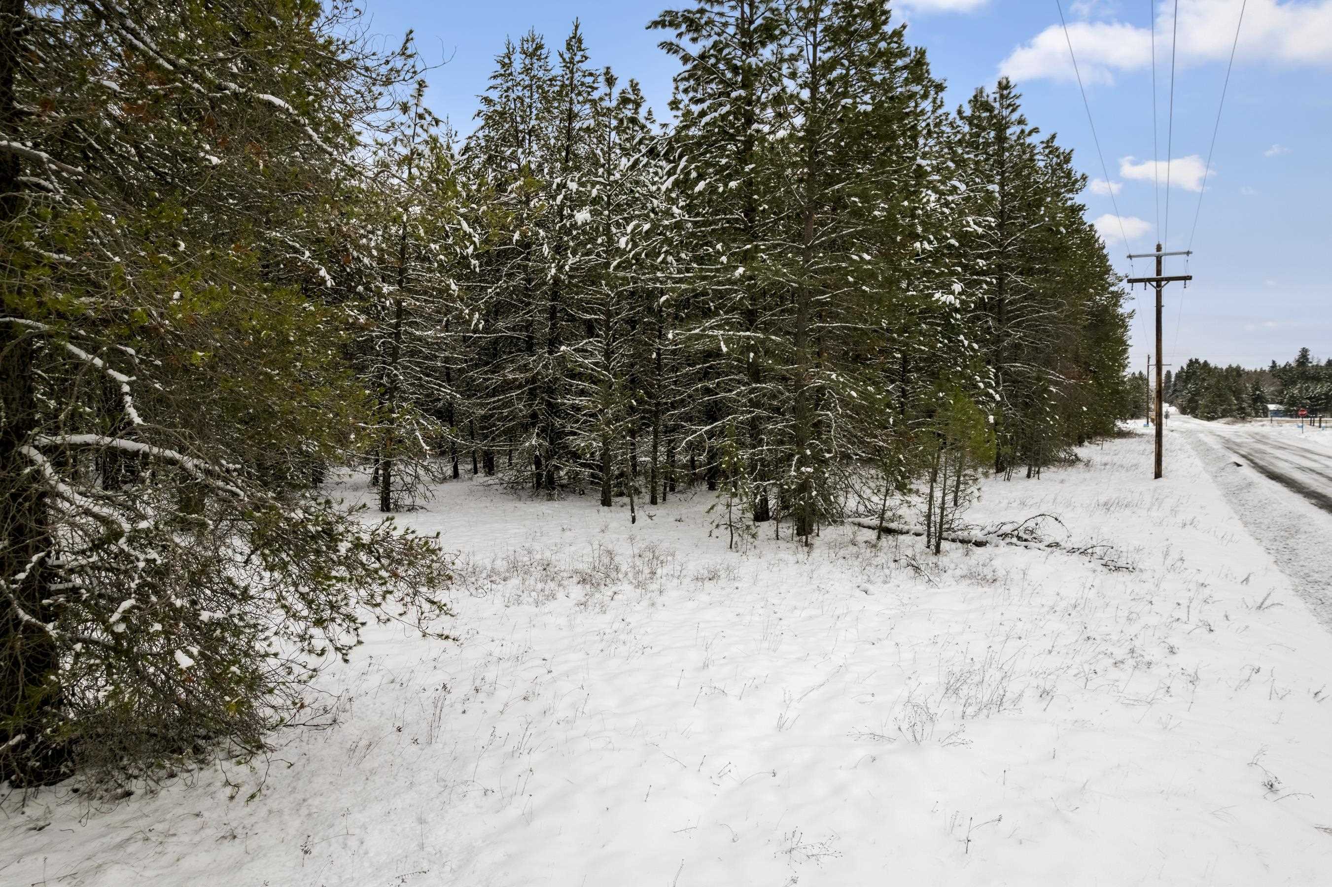 Nna East Bridges Road Elk, WA 99009 - Photo 2 of 10