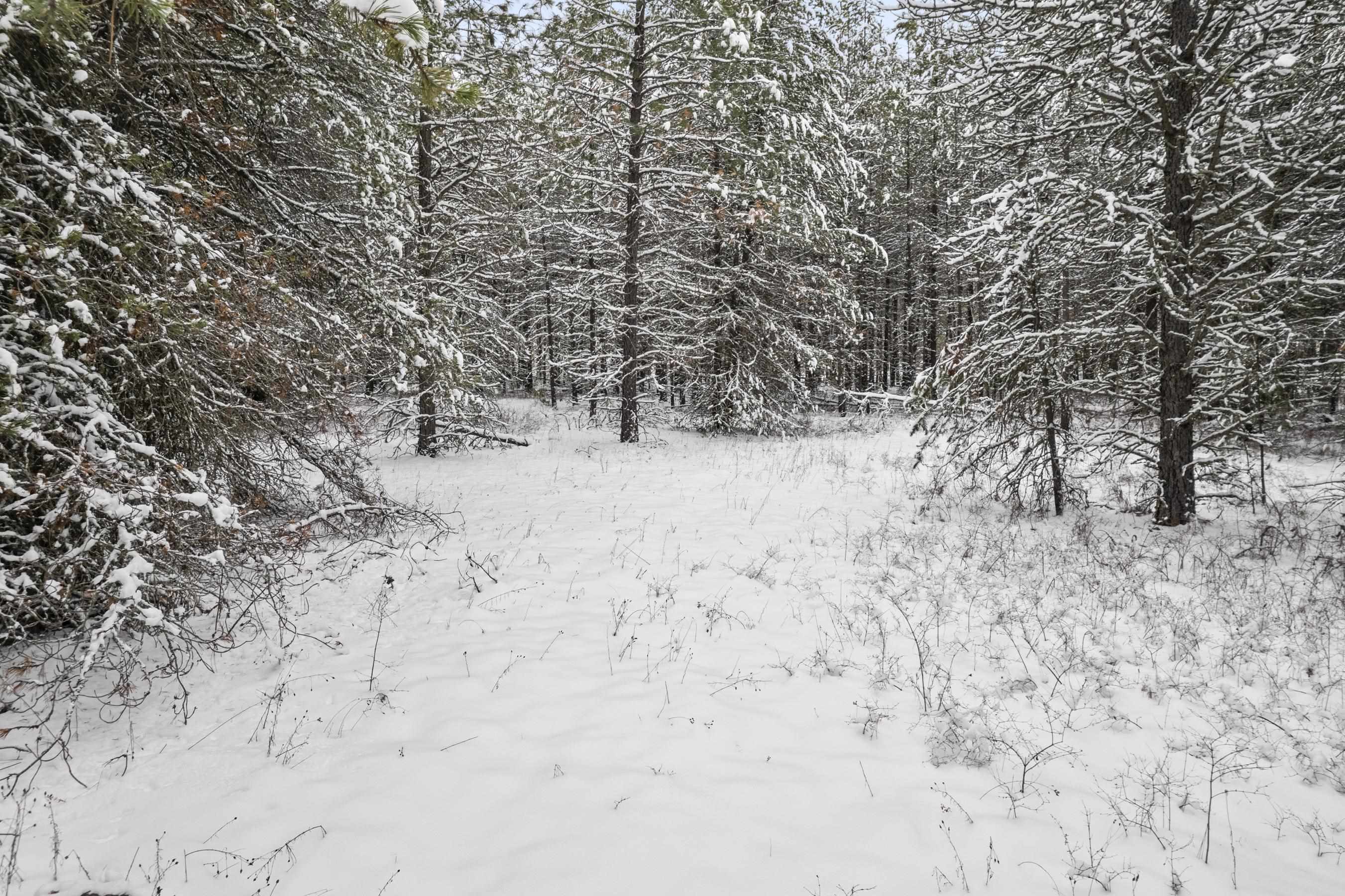 Nna East Bridges Road Elk, WA 99009 - Photo 5 of 10