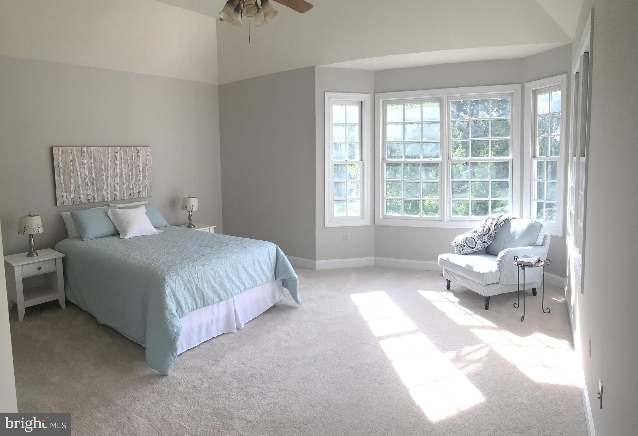 20393 Cockerill Road Purcellville, VA 20132 - Photo 14 of 29 Main level master bedroom w/ bay window, new carpe