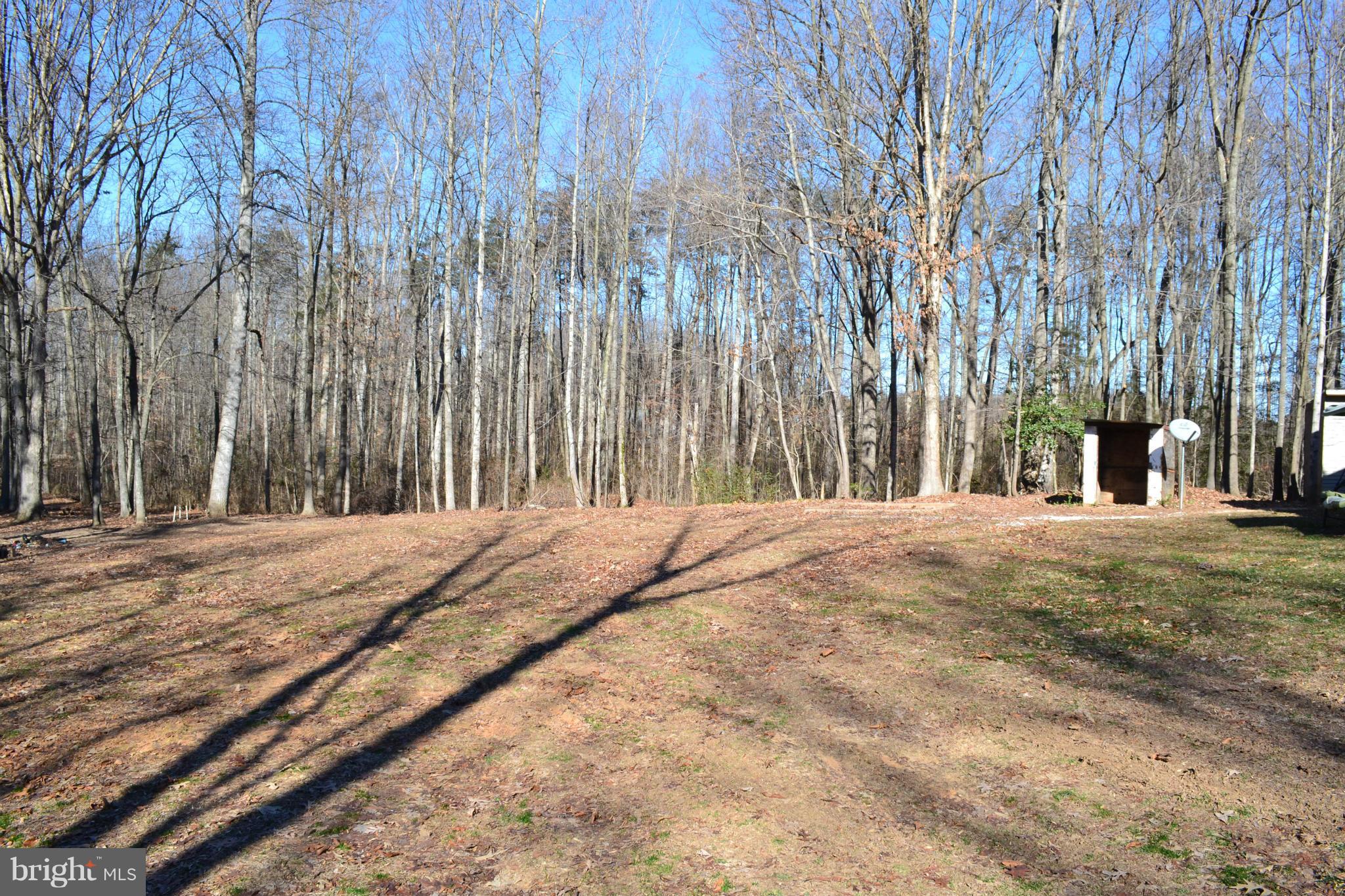 3232 Winding Road Partlow, VA 22534 - Photo 7 of 8 a view of a backyard of the house