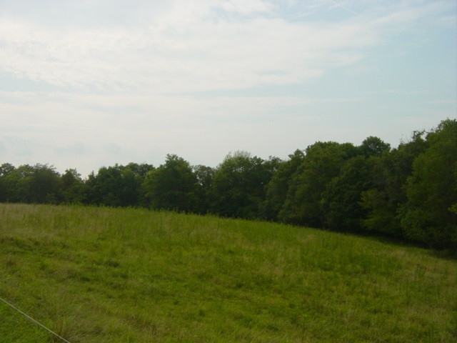 South Ripl SOUTH Ripl Road Dover, KY 41034 - Photo 7 of 14 Gallery Image 7