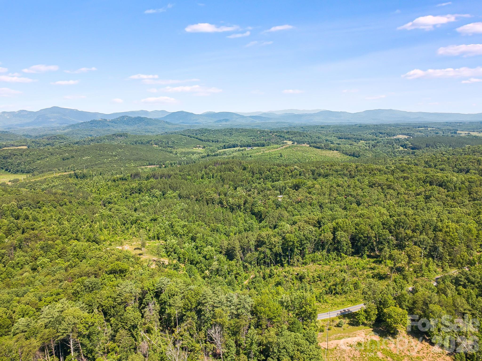 Lot #2 Clark Road Rutherfordton, NC 28139 - Photo 19 of 36