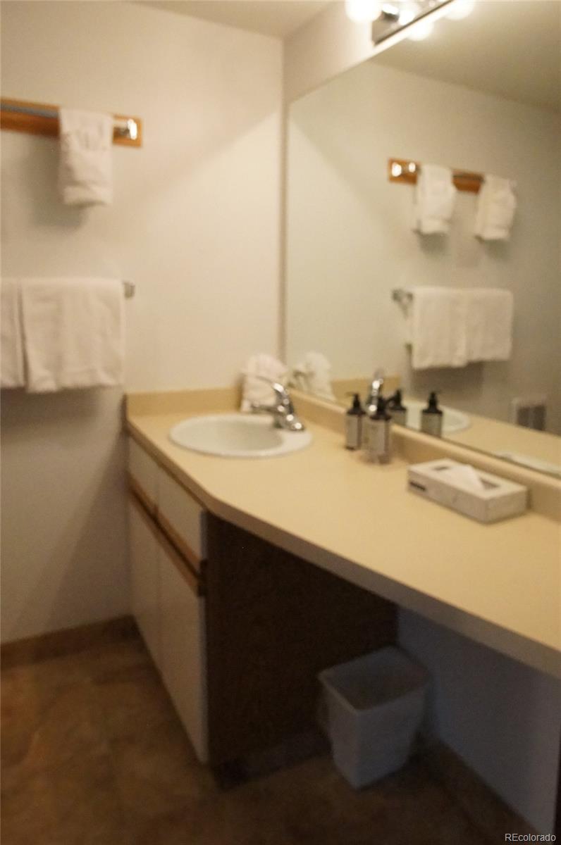 373 Wild Irishman Road, Unit 1071 Dillon, CO 80435 - Photo 11 of 19 a bathroom with a sink and a mirror
