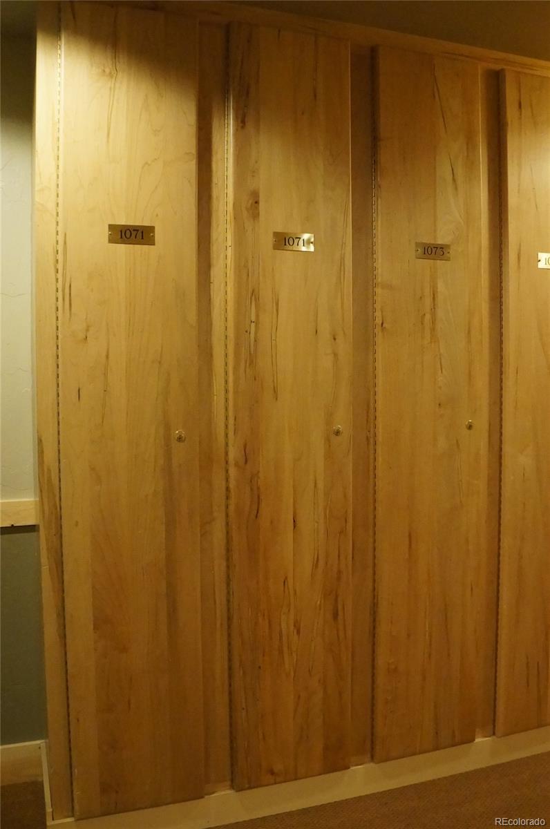 373 Wild Irishman Road, Unit 1071 Dillon, CO 80435 - Photo 15 of 19 a bathroom with a shower door