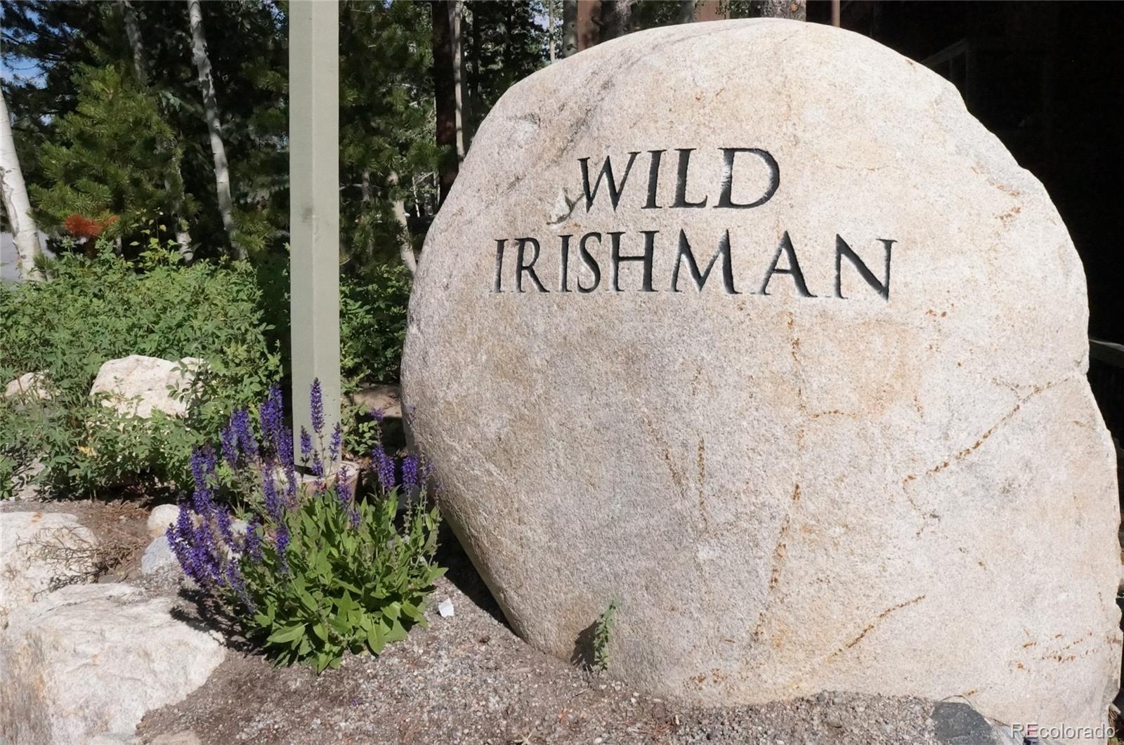373 Wild Irishman Road, Unit 1071 Dillon, CO 80435 - Photo 2 of 19 a sign that is on the side of a building